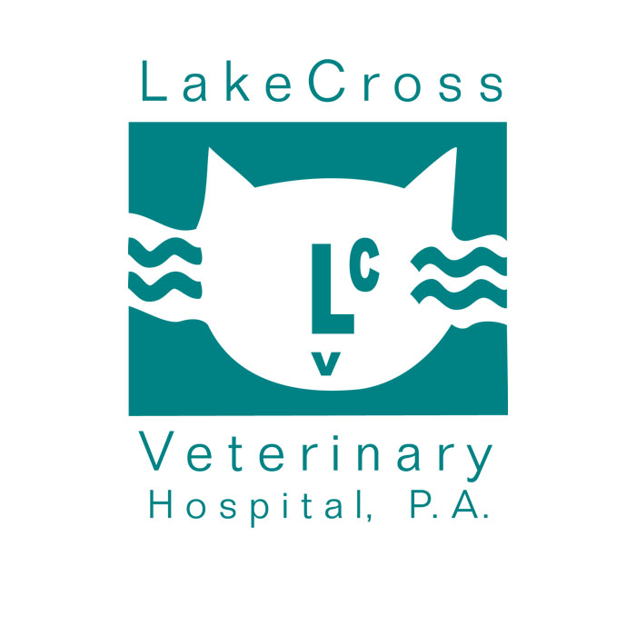 web logos-jpg_0020_Layer 15